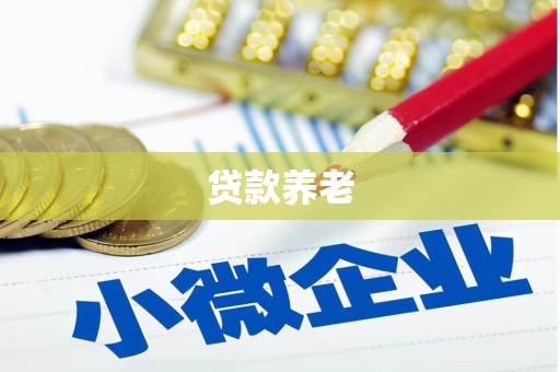 清新贷款养老