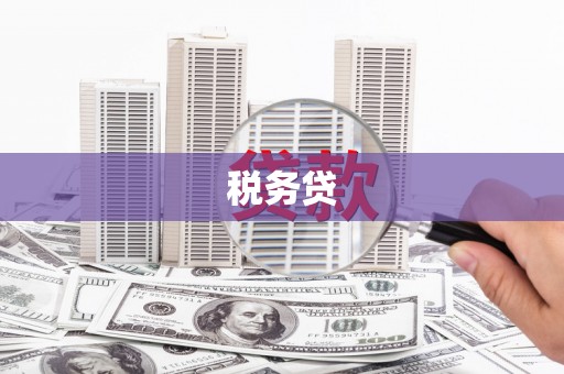 清新税务贷