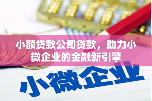 清新小额贷款公司贷款，助力小微企业的金融新引擎