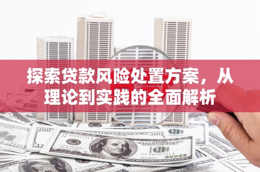 清新探索贷款风险处置方案，从理论到实践的全面解析