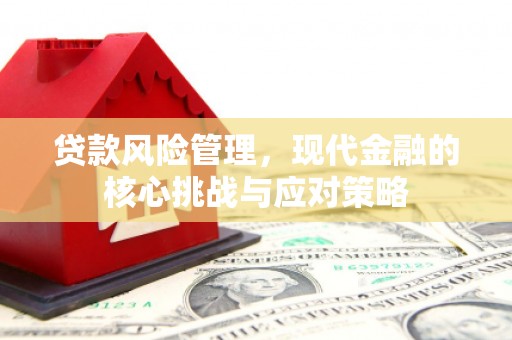 清新贷款风险管理，现代金融的核心挑战与应对策略