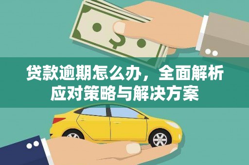 清新贷款逾期怎么办，全面解析应对策略与解决方案