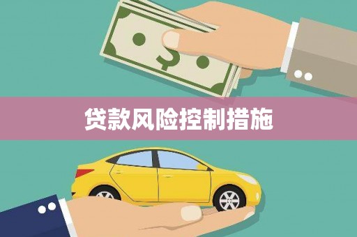 清新贷款风险控制措施