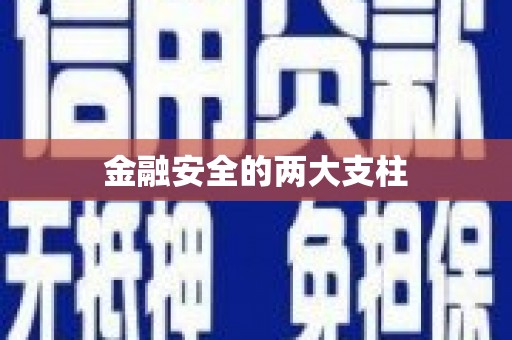 清新金融安全的两大支柱
