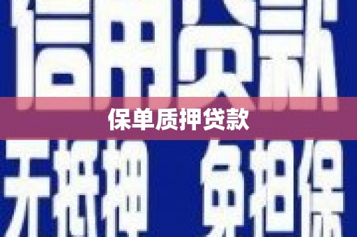 清新保单质押贷款