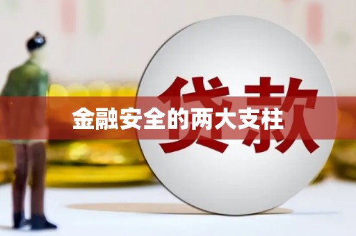 清新金融安全的两大支柱