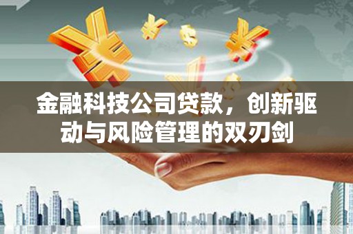 清新金融科技公司贷款，创新驱动与风险管理的双刃剑