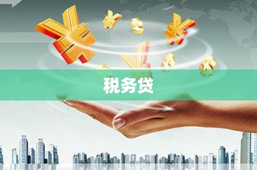 清新税务贷